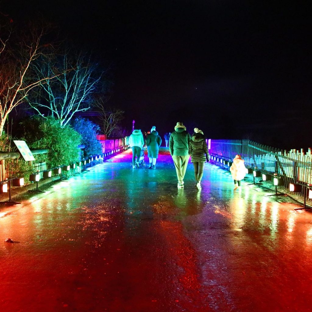 Rainbow Bridge at Chester Zoo