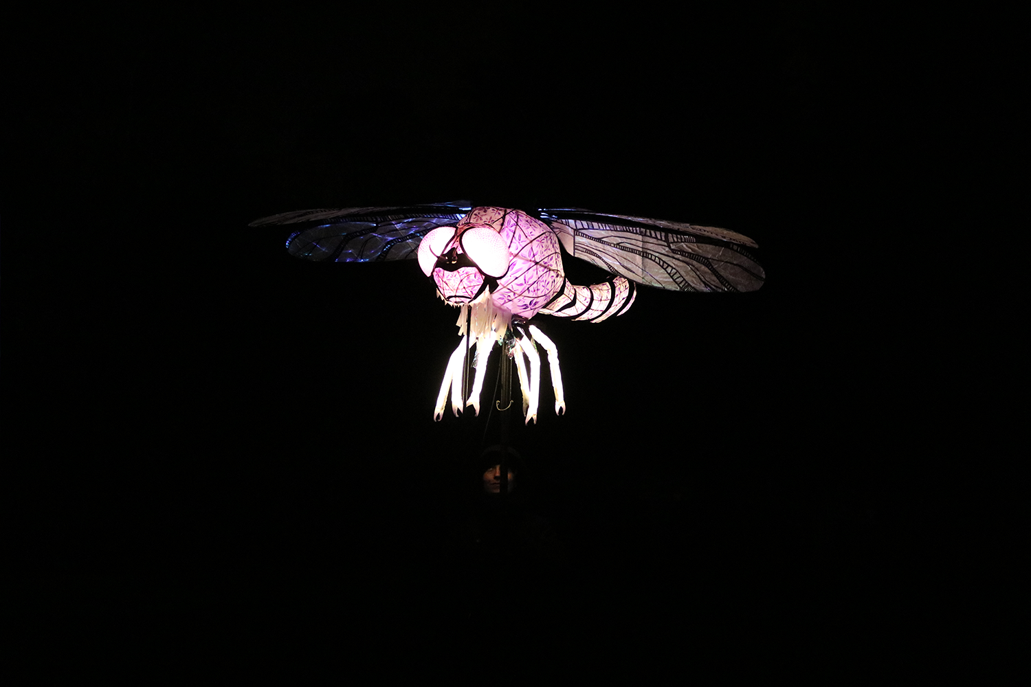 Dragonfly Lantern 1500x1000