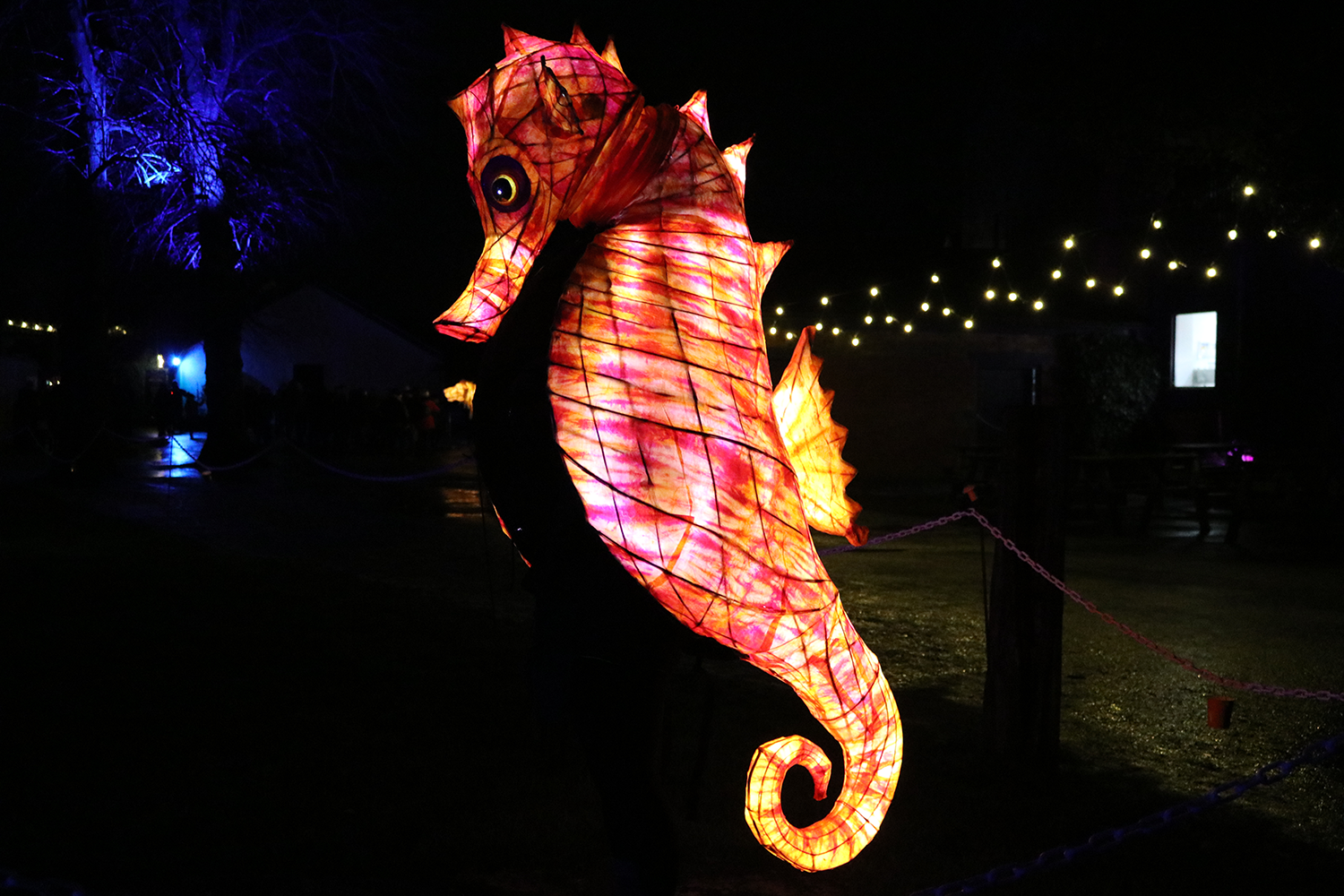 Seahorse Lantern 1500x1000