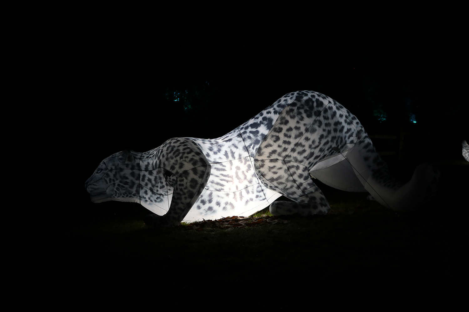 Snow Leopard Lantern 1500x1000