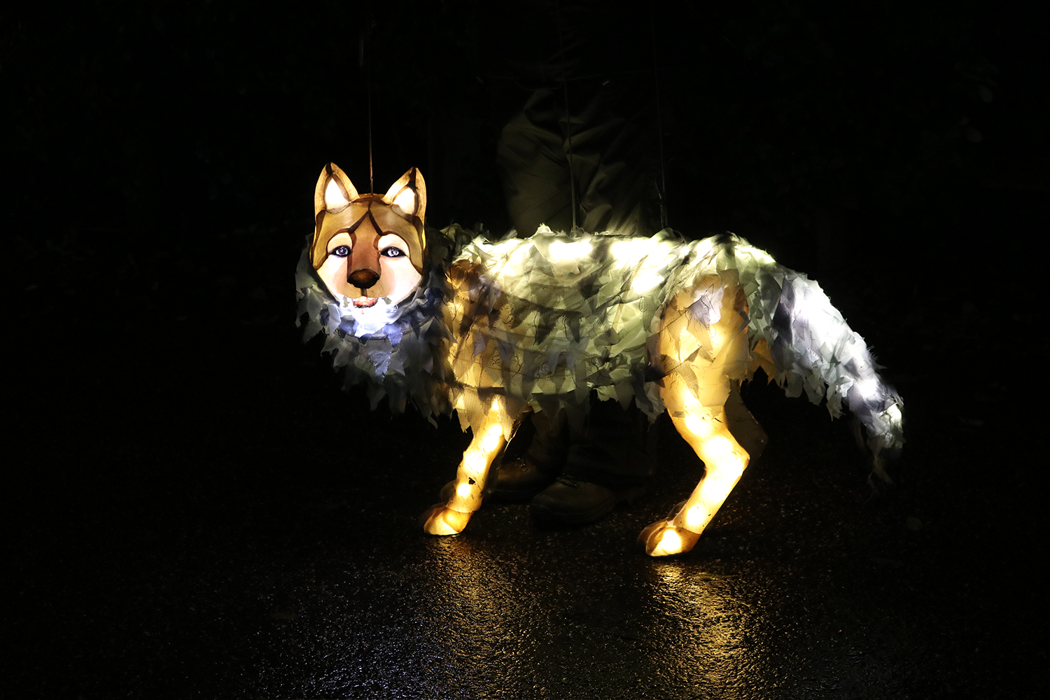 Wolf Cub Lantern 1500x1000